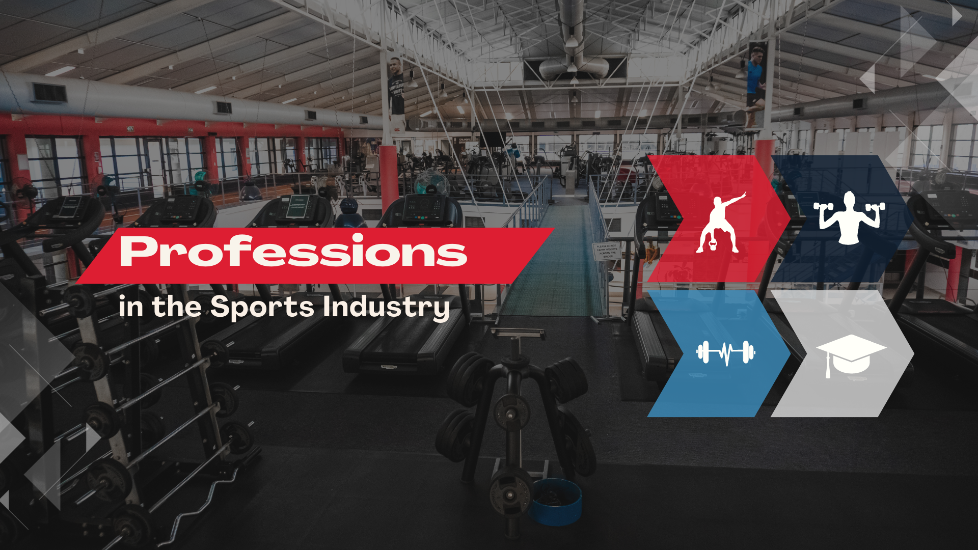 Professions in the sports industry
